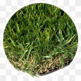 Everblade - Artificial Turf, HD Png Download - blades of grass png