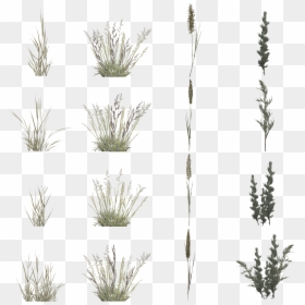 Grass, HD Png Download - blades of grass png