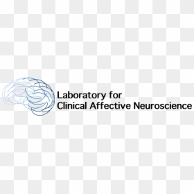 Laboratory For Clinical Affective Neuroscience - Graphics, HD Png Download - flourish line png