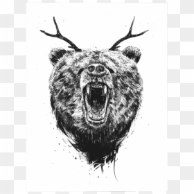 Roar Grizzly Bear Head Drawing, HD Png Download - angry bear png