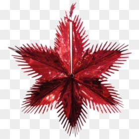 Picture 2 Of - Ciclo De Procuracion De Fondos, HD Png Download - red starburst png