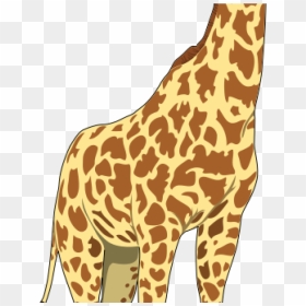 Giraffe Clipart Giraffe Clip Art Giraffe Clip Art Royalty, HD Png Download - giraffe clipart png