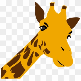 Giraffe Clipart Zoo - Giraffe Graphic, HD Png Download - giraffe clipart png