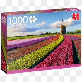 Tulip Flower In Holland, HD Png Download - flower field png