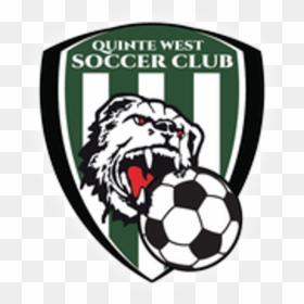 Soccer Team Logo Png, Transparent Png - soccer logo png