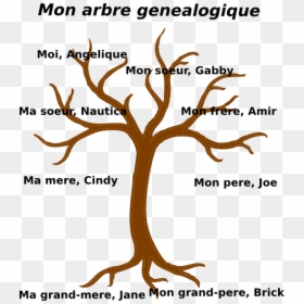 Family Tree Svg - Brown Tree Without Leaves, HD Png Download - family vector png