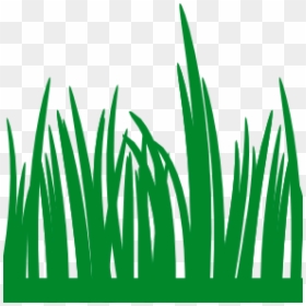 Grass Vector Png -grass Vector Png Transparent Image, - Pasto Clipart, Png Download - family vector png