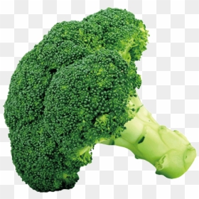 Broccoli,leaf Vegetable,cruciferous - Broccoli Clipart, HD Png Download - cauliflower png