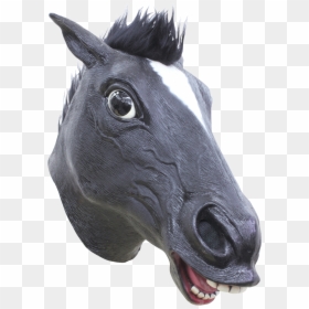 Horse Black Mask"  Class= - Black Mask For Horse, HD Png Download - black mask png