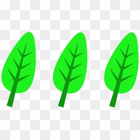 Leaves Clipart 3 Leaves, HD Png Download - cartoon leaf png