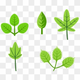Clipart Of Herb And Rg - Leaves Clip Art, HD Png Download - cartoon leaf png