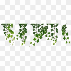 Vines Clipart Aesthetic, HD Png Download - green vine png