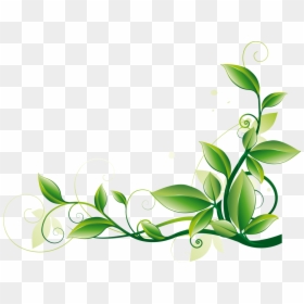 Transparent Green Border Clipart - Corner Leaf Border Design, HD Png Download - green vine png