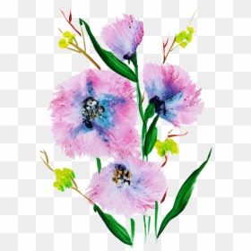 Gilliflower, HD Png Download - water color flower png