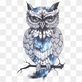 Owl Sleeve Tattoo Owls Baby Drawing Clipart - Owl Clip Art Transparent Background, HD Png Download - owls png
