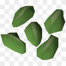 Graphics, HD Png Download - green vine png