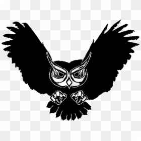 Panda Free Images Flyingowlclipart - Logo Burung Hantu Png, Transparent Png - owls png