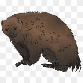 Wolverine Animal Png Clipart, Transparent Png - wolverine animal png