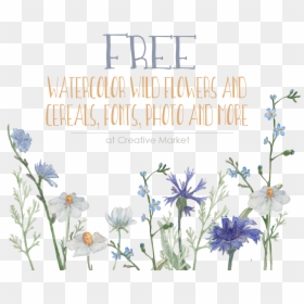 Free Watercolor Wildflower - Watercolor Wildflowers Free, HD Png Download - free watercolor png