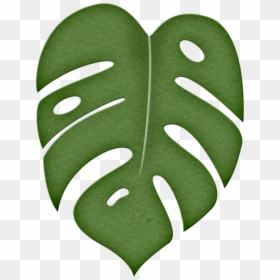 Clipart Jungle Leaf, HD Png Download - monstera leaf png
