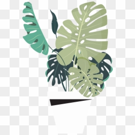 Illustration, HD Png Download - monstera leaf png