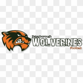 Peterborough Wolverines - Peterborough Wolverines Bantam, HD Png Download - wolverine animal png