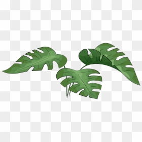 Clip Art, HD Png Download - monstera leaf png