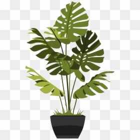 Cut Out Plant Indoor, HD Png Download - monstera leaf png