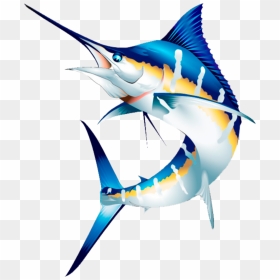 Thumb Image - Marlin Fish Png, Transparent Png - vela png