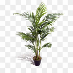 Indoor Artificial Palm Trees, HD Png Download - monstera leaf png