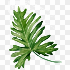 Bandinist Floppy Bow Headband-tropical Mix Clipart - Foglie Giungla Png, Transparent Png - monstera leaf png