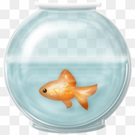 Fish Bowl Transparent Background, HD Png Download - fish tank png