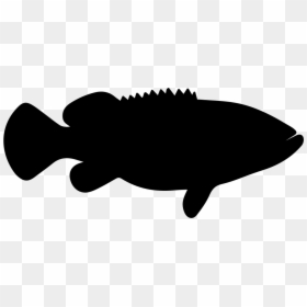 Goliath Grouper Fish Shape, HD Png Download - fish outline png