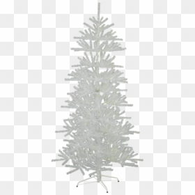 Christmas Tree Sparkle - Christmas Tree Sparkle Png, Transparent Png - christmas tree lights png