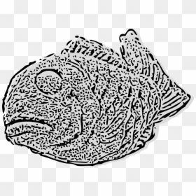 Fossil, Animal, Fish, Prehistoric - Vector Graphics, HD Png Download - fish outline png