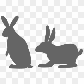 Rabbit Image Vector Example Image - Domestic Rabbit, HD Png Download - rabbit silhouette png