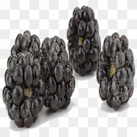 Blackberry, HD Png Download - blackberries png