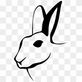 Hare, Rabbit Silhouette, Animals, Free Images, Shadows, - Black And White Rabbit Clipart, HD Png Download - rabbit silhouette png