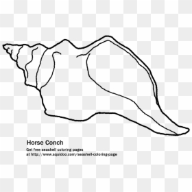 Conch Drawing At Getdrawings - Lord Of The Flies Conch Drawing, HD Png Download - conch png