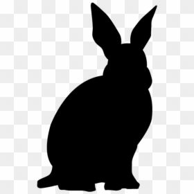 Domestic Rabbit, HD Png Download - rabbit silhouette png
