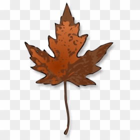 Tree,plant,leaf - Maple Leaf Clip Art, HD Png Download - red leaf png