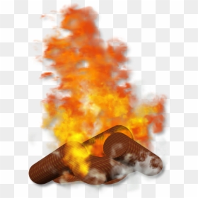 M Fire Png, Transparent Png - conch png