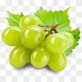 올리브 영 곤약 젤리, HD Png Download - raisins png