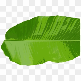 Leaf,plant,grass - Banana Leaf Vector Png, Transparent Png - leaf clip art png