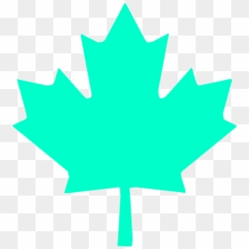 Wbp Maple Leaf, HD Png Download - red leaf png