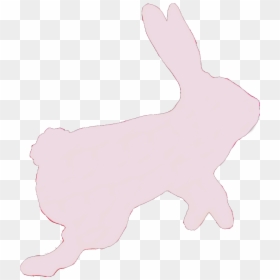 #rabbit #bunny #hare #pink #sticker #hop #hopping #jump - Domestic Rabbit, HD Png Download - rabbit silhouette png