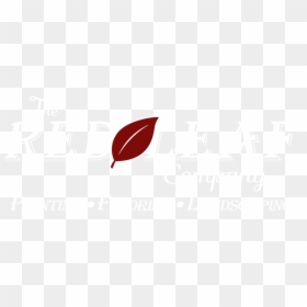 Primary Arms, HD Png Download - red leaf png