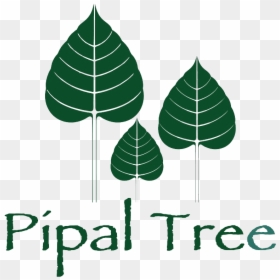 Leaf Clipart Pipal Tree - Clipart Of Leaf Of Pipal, HD Png Download - leaf clip art png