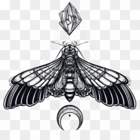 #tattoo #moth #bug #moon #design #drawing #idea #png - Death Head Moth Png, Transparent Png - moon drawing png