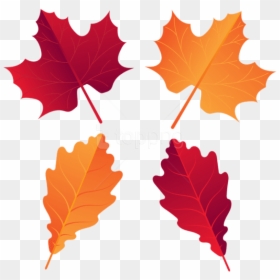 Free Png Download Fall Deco Leaves Clipart Png Photo - Portable Network Graphics, Transparent Png - leaf clip art png